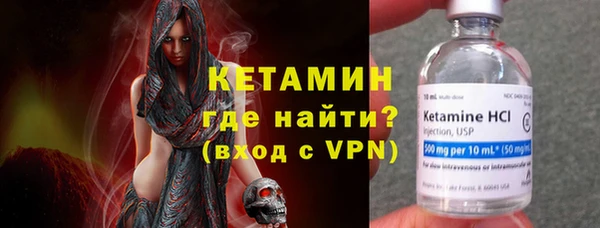 СК Новодвинск