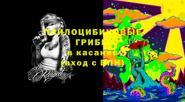 твердый Новокубанск