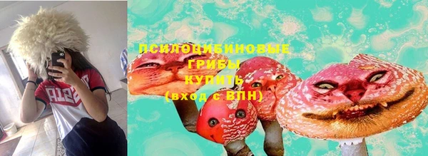 СК Новодвинск