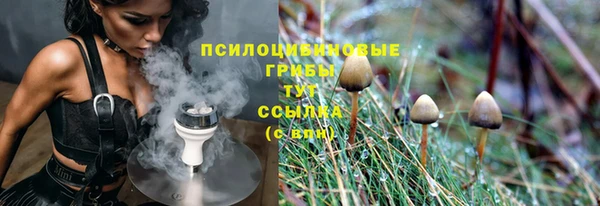 твердый Новокубанск