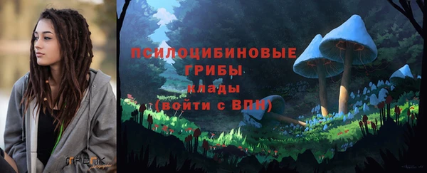 кокаин колумбия Новозыбков