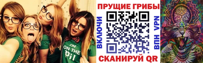 mega сайт  Реж  Псилоцибиновые грибы мухоморы  наркота 